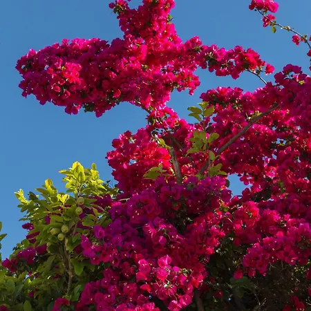 Pousada Campos Verde-2